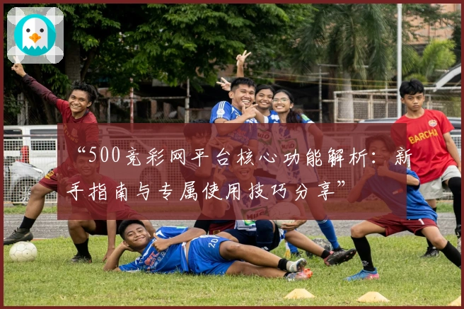 “500竞彩网平台核心功能解析：新手指南与专属使用技巧分享”