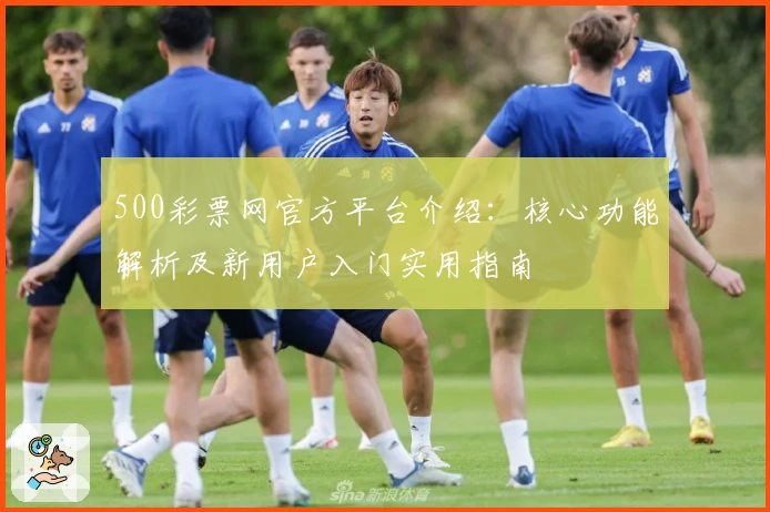 500彩票网官方平台介绍：核心功能解析及新用户入门实用指南