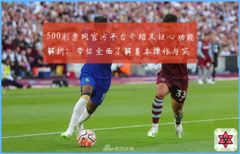 500彩票网官方平台介绍及核心功能解析：带你全面了解基本操作与实用技巧
