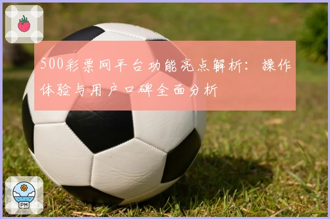 500彩票网平台功能亮点解析：操作体验与用户口碑全面分析