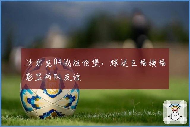 沙尔克04战纽伦堡，球迷巨幅横幅彰显两队友谊