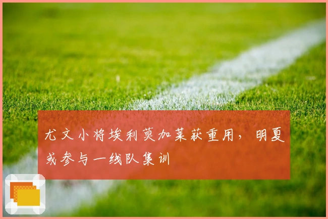 尤文小将埃利莫加莱获重用，明夏或参与一线队集训